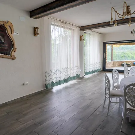 Guest house Barlogul Vikingilor
