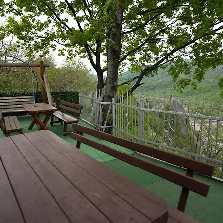 Guest house Barlogul Vikingilor Sotrile