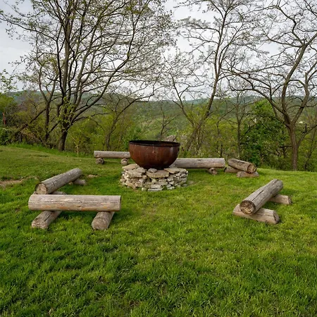 Barlogul Vikingilor Guest house Sotrile