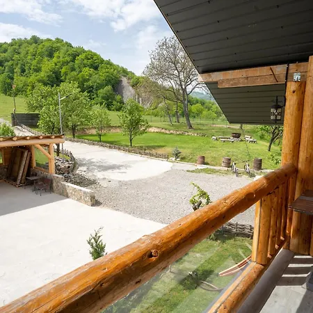Guest house Barlogul Vikingilor Sotrile