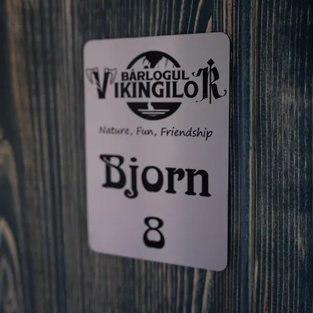 Guest house Barlogul Vikingilor