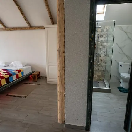 Guest house Barlogul Vikingilor