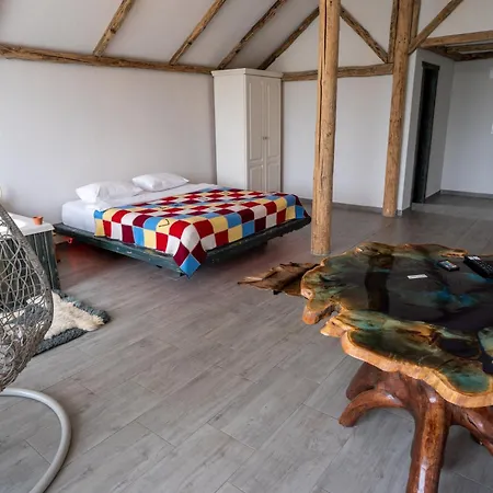 Guest house Barlogul Vikingilor Sotrile
