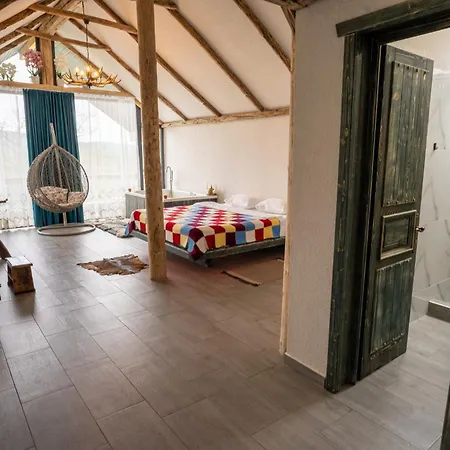 Guest house Barlogul Vikingilor Sotrile